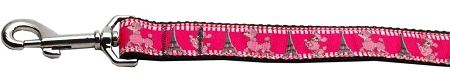 Poodles in Paris Nylon Dog Leash 3/8 inch wide 4ft Long