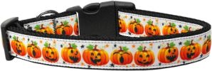 Pumpkin Parade Dog Collar Large