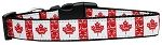 Canadian Flag in Swirls Nylon Dog Collar Medium