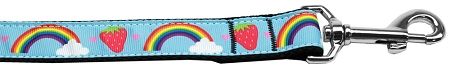 Rainbows and Berries Nylon Dog Leash 3/8 inch wide 4ft Long