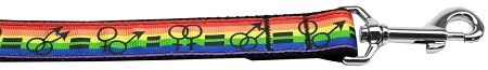 Equality Nylon Dog Leash 3/8 inch wide 4ft Long