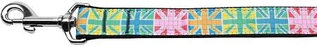 Multi-Color UK Flag Nylon Dog Leash 3/8 inch wide 4ft Long