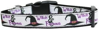 Witch and Famous Nylon Dog Collar Medium