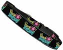 Beach Babe Nylon Dog Collar MD Narrow