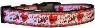 Melt Daddy's Heart Nylon Dog Collar LG