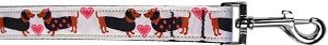 Pink Doxie Love Nylon Pet Leash 1in by 6ft