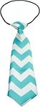 Big Dog Neck Tie Chevron Light Blue