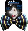 Dog Bow Tie Purple and Aqua Stripes