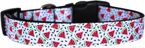 Watermelon Nylon Dog Collar MD Narrow