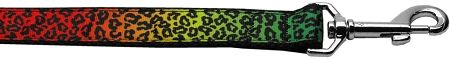 Rainbow Leopard Nylon Dog Leash 5/8 inch wide 4ft Long