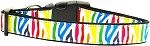 Zebra Rainbow Nylon Dog Collar XL