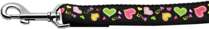 Neon Love Nylon Dog Leash 3/8 inch wide 6ft Long