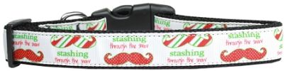 Stashing through the Snow Nylon Dog Collar SM