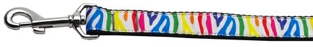 Zebra Rainbow Nylon Dog Leash 5/8 inch wide 4ft Long