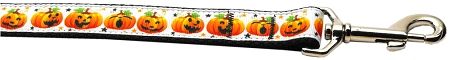 Pumpkin Parade Nylon Dog Leash 5/8 inch wide 4ft Long