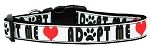 Adopt Me Nylon Dog Collar SM