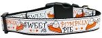 Pumpkin Pie Nylon Dog Collar XL