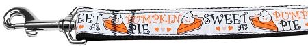 Pumpkin Pie Nylon Dog Leash 5/8 inch wide 6ft Long