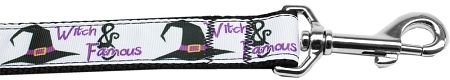 Witch and Famous Nylon Dog Leash 5/8 inch wide 6ft Long