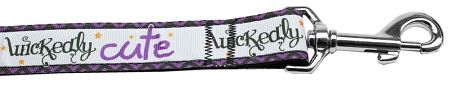 Wickedly Cute Nylon Dog Leash 5/8 inch wide 6ft Long