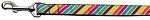 Striped Rainbow Nylon Dog Leash 3/8 inch wide 4ft Long