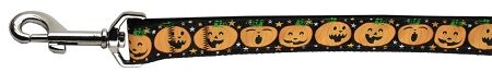 Pumpkins Nylon Dog Leash 3/8 inch wide 4ft Long