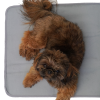 Thera-Pawz  30"x20" Warming Mat