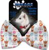 Birthday Buddies Pet Bow Tie Collar Accessory with Velcro