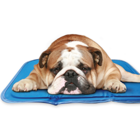 Cool Pet Pad (Color: Blue, size: medium)