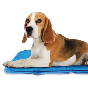 Cool Pet Pad (Color: Blue, size: small)