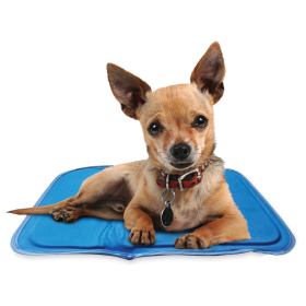 Cool Pet Pad (Color: Blue, size: XS)